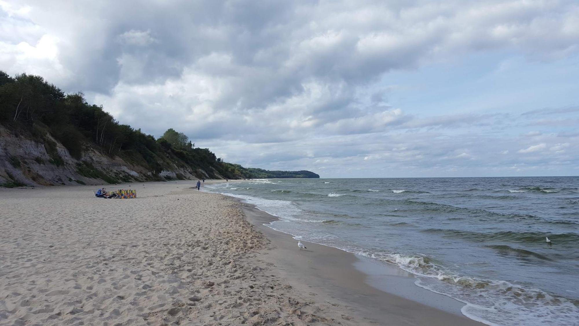 Ow Irena Chlapowo Lägenhet Władysławowo Exteriör bild